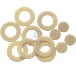 PEEK Washer Gasket