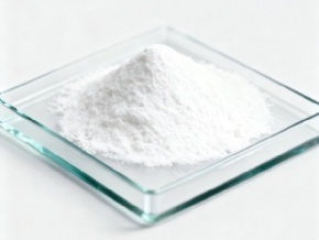 PEEK Fine & Ultra Powder